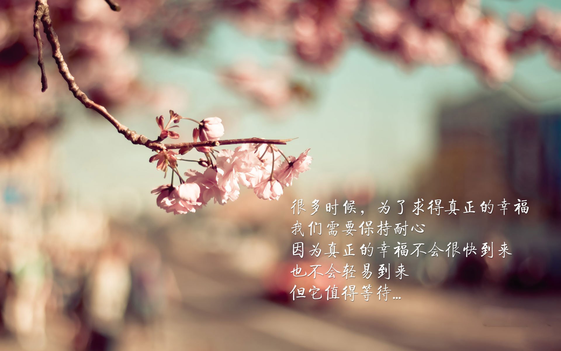德甲最新比分：激烈角逐，谁能笑到最后？，德甲实时比分